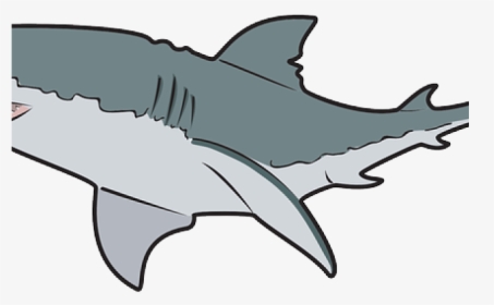 Bull Shark Clipart Outline - Great White Shark Clipart Png, Transparent Png, Transparent PNG