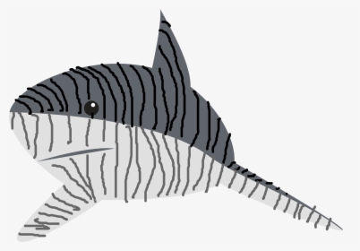 Transparent Sharks Clipart - Tiger Shark Clipart, HD Png Download, Transparent PNG