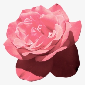 Aesthetic Tumblr Flower Pink Vaporwave - Aesthetic Pink Flowers Png, Transparent Png, Transparent PNG
