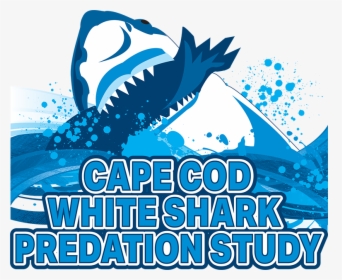 Cape Cod White Shark Predation Study Logo - Limp Bizkit, HD Png Download, Transparent PNG