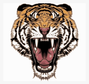 Angry Tiger Face Png, Transparent Png, Transparent PNG
