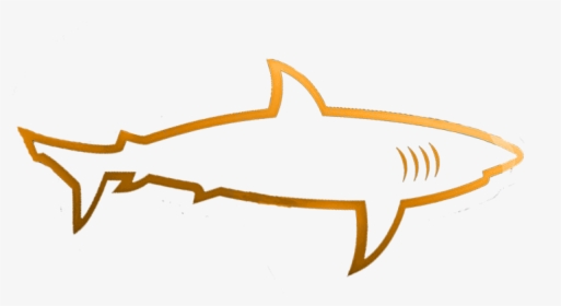 Sd Sharks Ball Club, HD Png Download, Transparent PNG