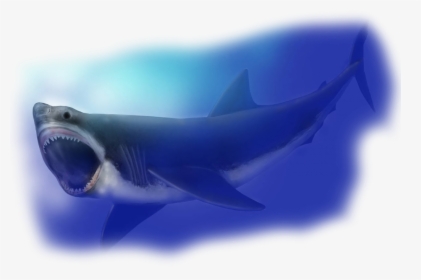 Transparent Megalodon Png - Megalodon Shark Compared To Great, Png Download, Transparent PNG