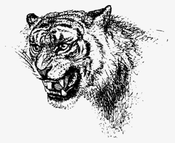 Art,monochrome Photography,carnivoran - Black And White Tiger Logo, HD Png Download, Transparent PNG