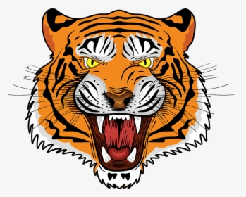 Tiger, Royal Bengal Tiger, Tiger Face, Angry Tiger - Tiger Logo, HD Png Download, Transparent PNG
