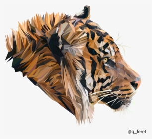Polygons Drawing Tiger - Sumatran Tiger Wallpaper Hd, HD Png Download, Transparent PNG