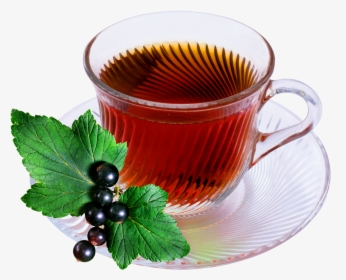 Herbal Tea In Cup - Tea, HD Png Download, Transparent PNG