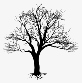 Silhouette Tree Royalty-free - Kill A Mockingbird Tree, HD Png Download, Transparent PNG