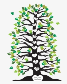 Image Result For Family Tree With Roots And Branches - Family Tree With Roots Clipart, HD Png Download, Transparent PNG