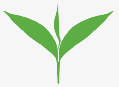 Clipart Leaves Green Tea Leaf - Tea Leaf Clipart Png, Transparent Png, Transparent PNG