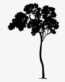 Tree Silhouette Clip Arts - Arthur Rackham Silhouette, HD Png Download, Transparent PNG