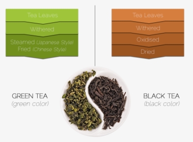 Green Tea Leaves Vs Black Tea Leaves, HD Png Download, Transparent PNG