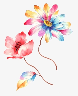 Colorful Gradient Hand Drawn Chrysanthemum Decorative - Illustration, HD Png Download, Transparent PNG