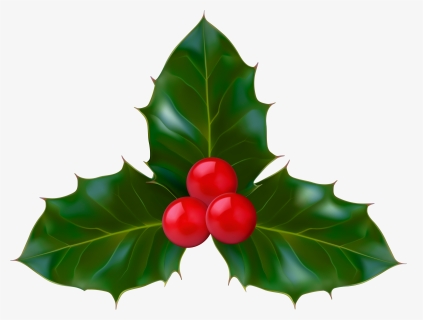 Png Holly Clipart - Clipart Holly Png, Transparent Png, Transparent PNG