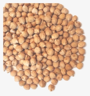 Chickpeas - Chickpea, HD Png Download, Transparent PNG