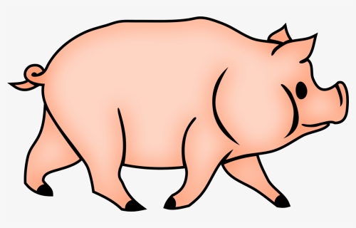 Wildlife,neck,domestic Pig - Cerdos Conncara De Simio Dibujo, HD Png Download, Transparent PNG