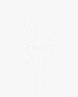 Free Png White Winter Tree Png Images Transparent - Tree Clipart White Png, Png Download, Transparent PNG