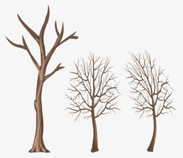 Winter Tree Trunk Png Clipart , Png Download - Branches Of Trees Png, Transparent Png, Transparent PNG