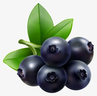Blueberries Clipart Transparent Background - Clip Art Blue Berries, HD Png Download, Transparent PNG