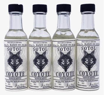 Sotol Coyote 38% Alc 50ml 4 Pack - Glass Bottle, HD Png Download, Transparent PNG