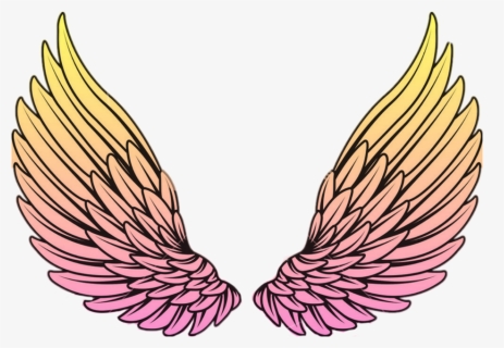 #wings #wing #sayap #yellow #pink #orange - Drawing Angel Wings, HD Png Download, Transparent PNG
