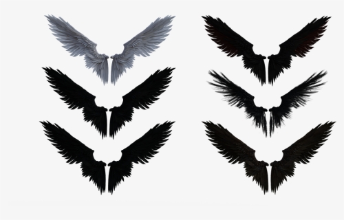 Eagle, HD Png Download, Transparent PNG