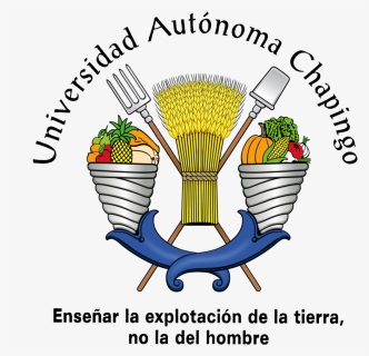 Logo Universidad Autonoma Chapingo, HD Png Download, Transparent PNG