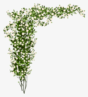 Arrangement Flowers Green Small Flower - Green And White Flowers Png, Transparent Png, Transparent PNG