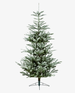 Christmas Tree, HD Png Download, Transparent PNG