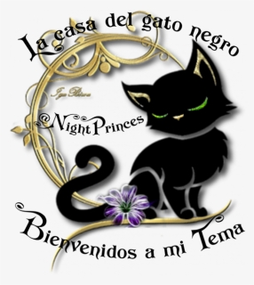 Feliz Cumpleaños Sergio @skywalker2214 - Dia Internacional De La Mujer Con Gato, HD Png Download, Transparent PNG