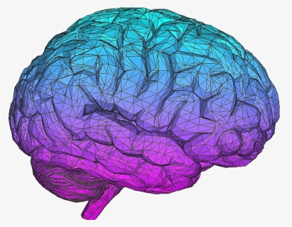 Blue Brain Download Png Image - Aesthetic Brain Transparent, Png Download, Transparent PNG
