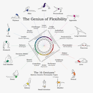 The Genius Of Flexibility - Genius Of Flexibility, HD Png Download, Transparent PNG