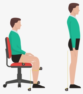 Transparent Man Laying Down Png - Standing Desk, Png Download, Transparent PNG