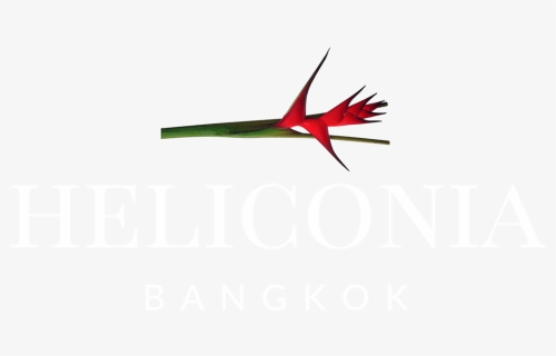 Heliconia Logo White - Heliconia, HD Png Download, Transparent PNG