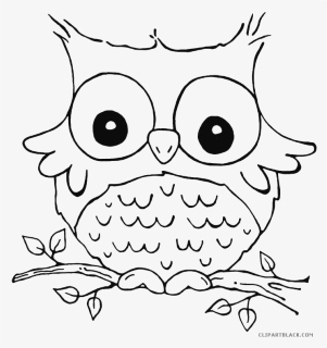 Transparent Owl Face Png - Animal Coloring Pages Owl, Png Download, Transparent PNG