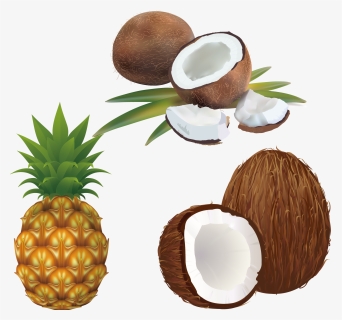 Leaves Clipart Pineapple, HD Png Download, Transparent PNG