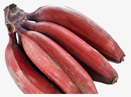 Red Banana Png Image Download, Transparent Png, Transparent PNG