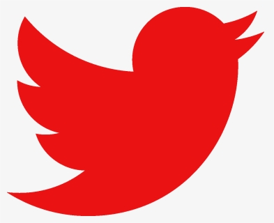 Transparent Twitter Bird Png Transparent, Png Download, Transparent PNG