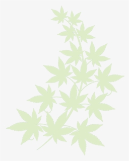 Weed Png, Transparent Png, Transparent PNG