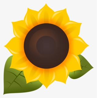 Sunflower Png, Transparent Png, Transparent PNG