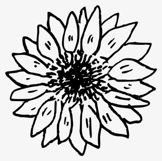 Doodle-sunflower, HD Png Download, Transparent PNG