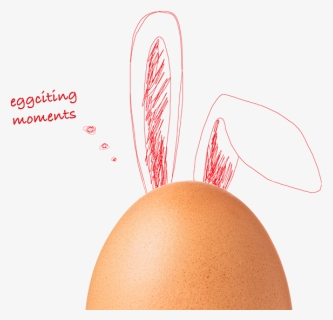 Egg Png, Transparent Png, Transparent PNG