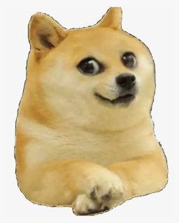 Doge Roblox Image Id Doge Hd Png Download Transparent Png