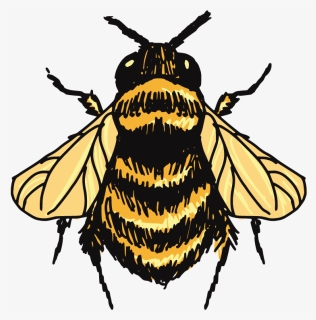 Transparent Honey Bee Png, Png Download, Transparent PNG