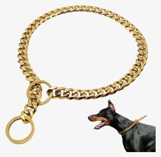 Gold Dog Chain Png, Transparent Png, Transparent PNG