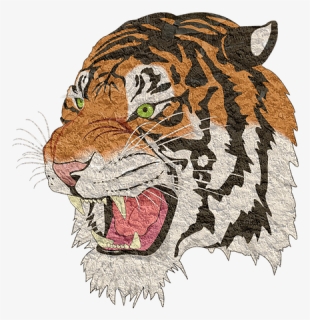 Tiger, Tiger Png, Lion, Animal, Cheetah, Transparent Png, Transparent PNG
