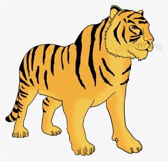 Bengal Tiger Clipart, HD Png Download, Transparent PNG