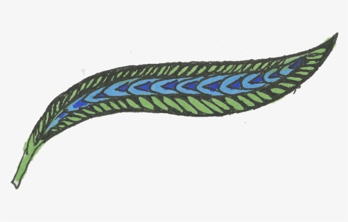 Green Feather, HD Png Download, Transparent PNG