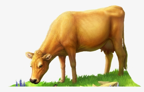 Fn-cow, HD Png Download, Transparent PNG