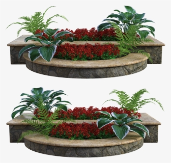 Plants Png, Transparent Png, Transparent PNG